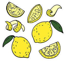 Color illustration of yellow lemons, peel and lemon slices in the Doodle style