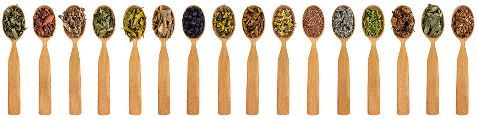 Various medicinal herbs in wooden spoons isolated on a white background. Dried medicinal plants for...