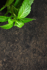 Naklejka premium mint, fresh green petals and stems (healthy organic food) menu concept background. top view. copy spaces