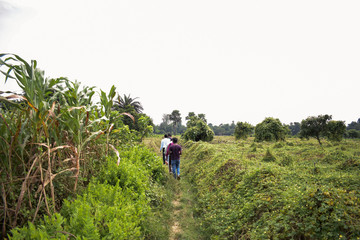 Fototapeta premium people going through green field