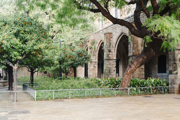 Traditional castle yard with orange trees in Barcelona, Spain