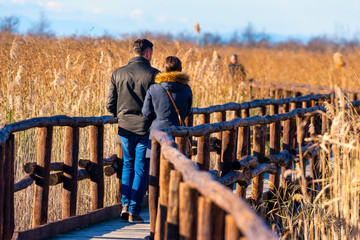 Nature Reserve, Oasis Lipu Massaciuccoli, Lucca, Tuscany
