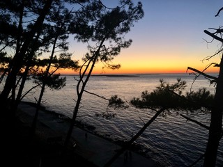 France Arcachon Beach Nature Sea