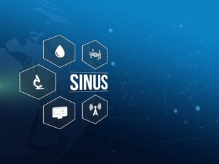 Sinus