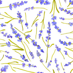 Watercolor lavender flower seamless pattern on white illustration 