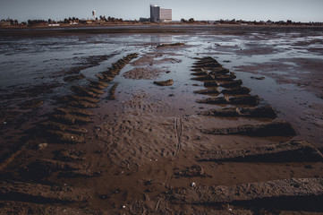shipwreck skeleton at low tide