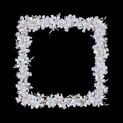 Oleander white flowers frame. Summer tropical element for design isolated