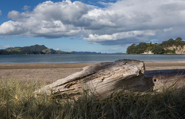Fototapeta na wymiar Whitianga coast New Zealand. Beach and rocks Coromendel