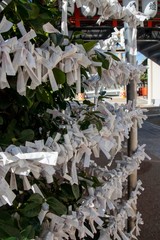 神社の結んんだおみくじ