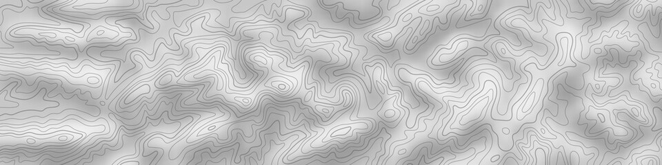 Imitation of a geographical map, black lines on gray background, vector design