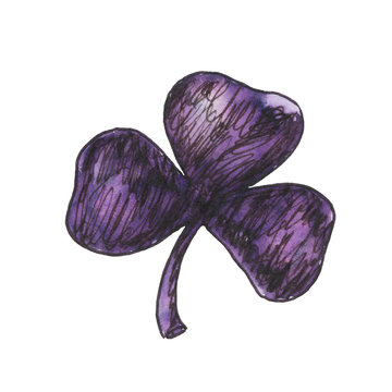 Pen and ink shamrock illustration. Hand-drawn doodle purple illustration of a trifoliate leaf on a white background isolated. Decorative element for traditional design for St. Patrick's Day