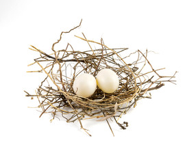 Two eggs of dove birds in brown dry grass nest, low angle, isolated on white background.