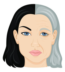 Illustration of young and old face