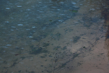 Dry field plants of Ukraine in winter against the backdrop of a frozen blue lake.