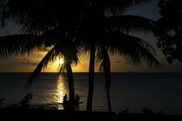 Silhouettes of coconut trees and two men heading out in a sailboat