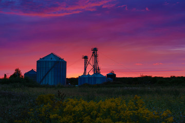 farm at sunset