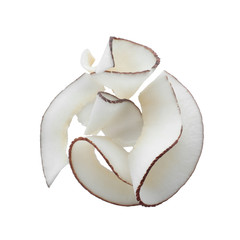 Pile of fresh coconut flakes isolated on white, top view