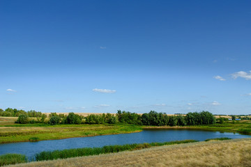 A small rural pond against a blue sky