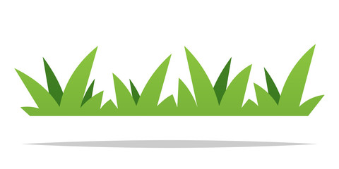 Fototapeta Green grass vector isolated design obraz