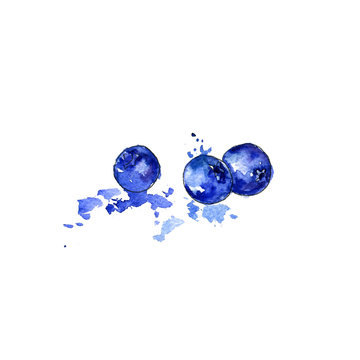 watercolor drawing blueberries