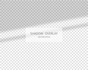 Shadow overlay effect. Natural shadows isolated on transparent background. Vector soft shadow and light overlay effect. 