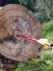 target with arrow
