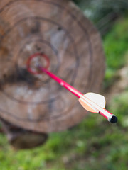 dart on a target