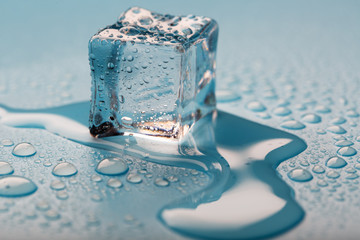 Ice cube with water drops on a blue background. The ice is melting.
