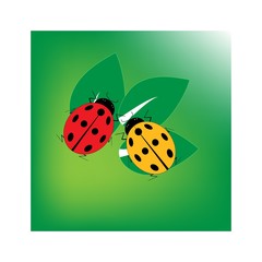Ladybirds in square. Illustration ladybug on green leaf. Cute colorful sign red insect symbol spring, summer, garden. Template for t shirt, apparel, card, poster. Design element. Vector illustration.