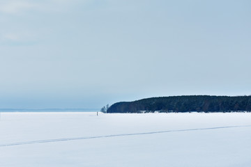 winter landscape with trees and blue sky