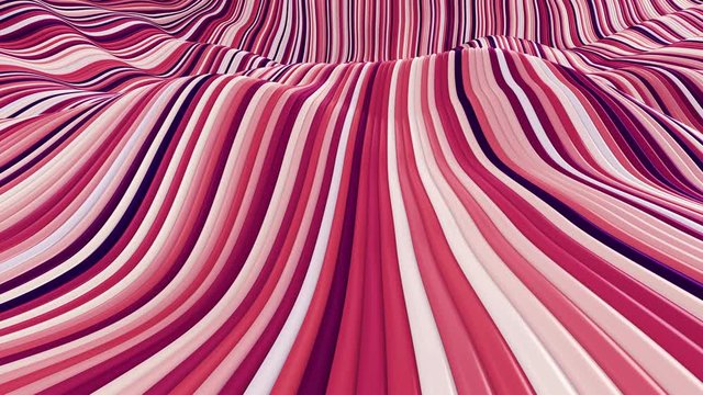Trendy hypnotic seamless loop of fluid flowing stripes. Pink color. Ideal for abstract text background.