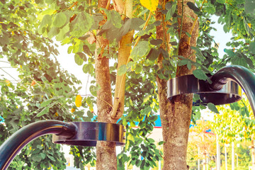 Black steel column supports and controls the branches and trunks of the tree to stand upright and beautiful in the park.