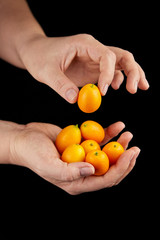 Kumquat , small oval citrus fruits, nagami variety