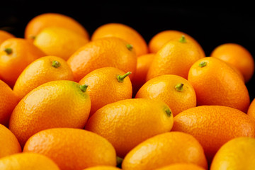 Kumquat , small oval citrus fruits, nagami variety