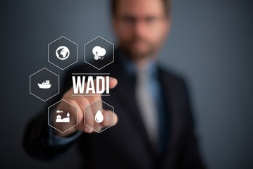 Wadi