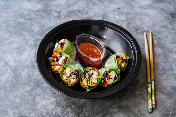 Take Away Healthy Asian Vietnamese Spring Roll / Goicuon with Rice Paper Rolls and Red Hot Chili Sauce in Plastic Container Plate Package or Box.