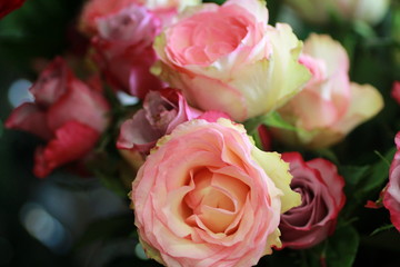 Bouquet de roses
