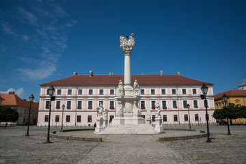 Fototapeta na wymiar Plague Column and Headquarters of Slavonia, Main Square, The Fort, Osijek, Croatia
