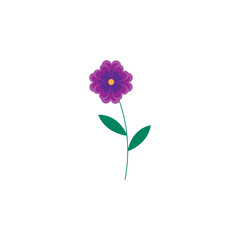 This is cute flower on white background.