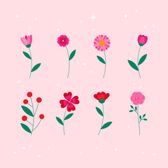 This is cute flowers on pink background. Flat style.