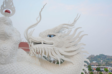 White Chinese dragon decorated on a Chinese dragon sculpture design background