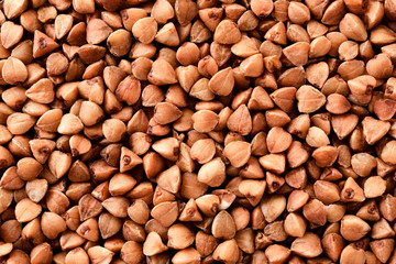 Buckwheat background. The view from the top