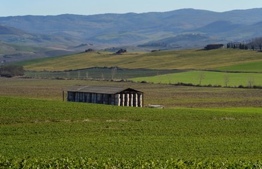 Agricultural shed in field, in Tuscany, near Siena