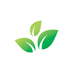 green group color leaf healthy logo design