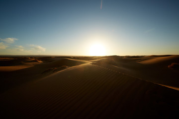 Desert dunes in the morning 4