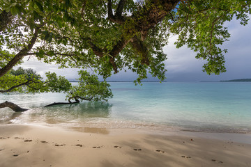 Calm water lagoon Paradise sand Beach green lush trees Espirito Santo island Vanuatu
