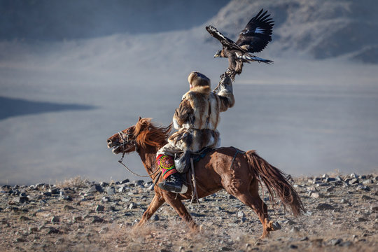 Kazakh berkut hunting western Mongolia Golden eagle festival horse riding