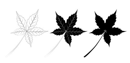 Vector set of grape leaves, outline and silhouette.