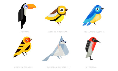 Colorful Stylized Birds Collection, Toukan, Evening Grosbeak, Himalayan Bluetail, Western Tanager, European Crested Tit, Myzomela Vector Illustration on White Background