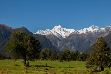Franz Josef Glacier